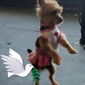 Meet your Posher, Channavy